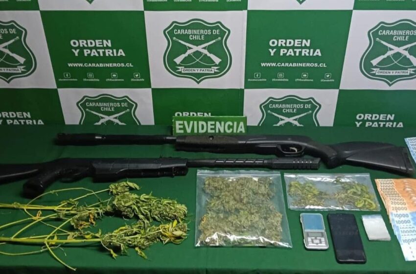  Detienen a hombre por cultivo y tráfico de droga en sector Neltume de Panguipulli